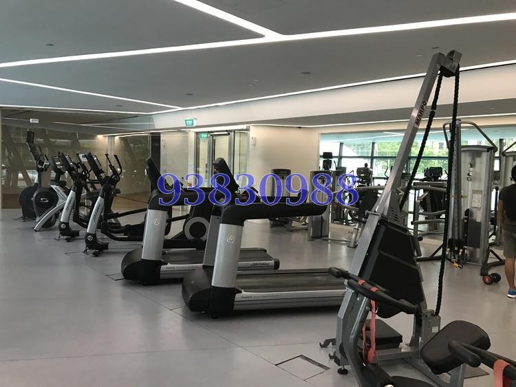 D'Leedon (D10), Condominium #163673372